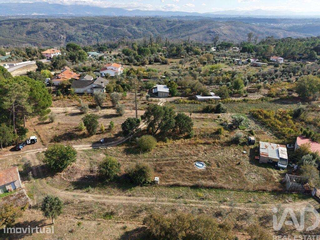 Terreno Agrícola em Canas de Senhorim - Grande imagem: 3/10