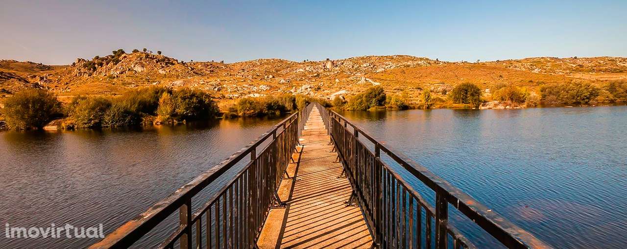 Terreno Rústico  Venda em Junça e Naves,Almeida - Grande imagem: 2/12