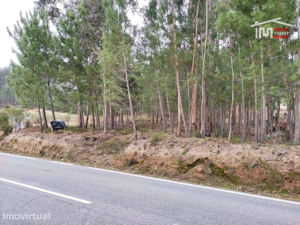 Terreno rústico com viabilidade de construção. - Grande imagem: 3/3