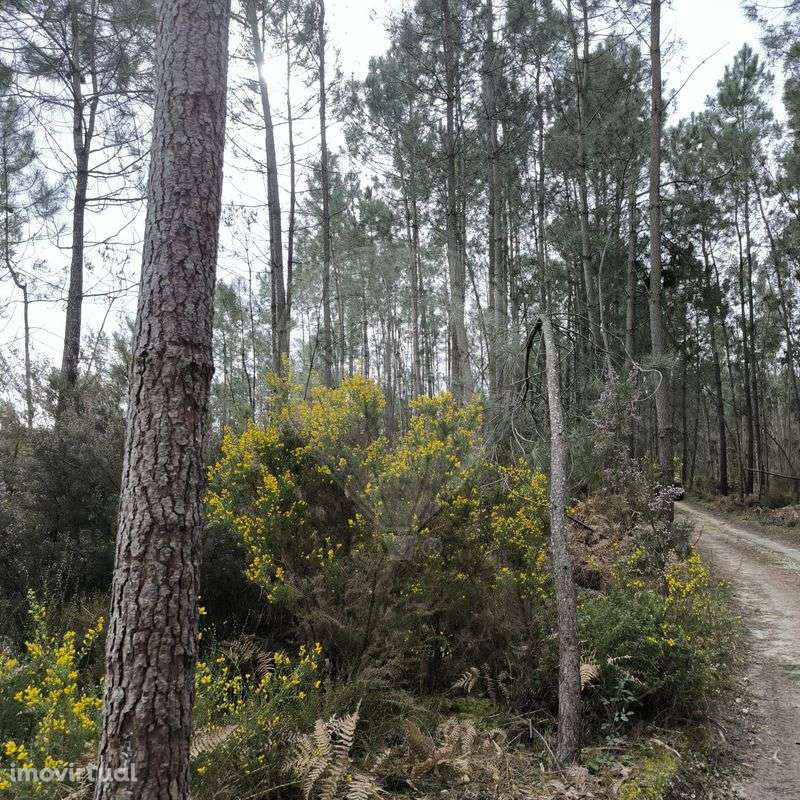 Terreno  para venda - Grande imagem: 3/5