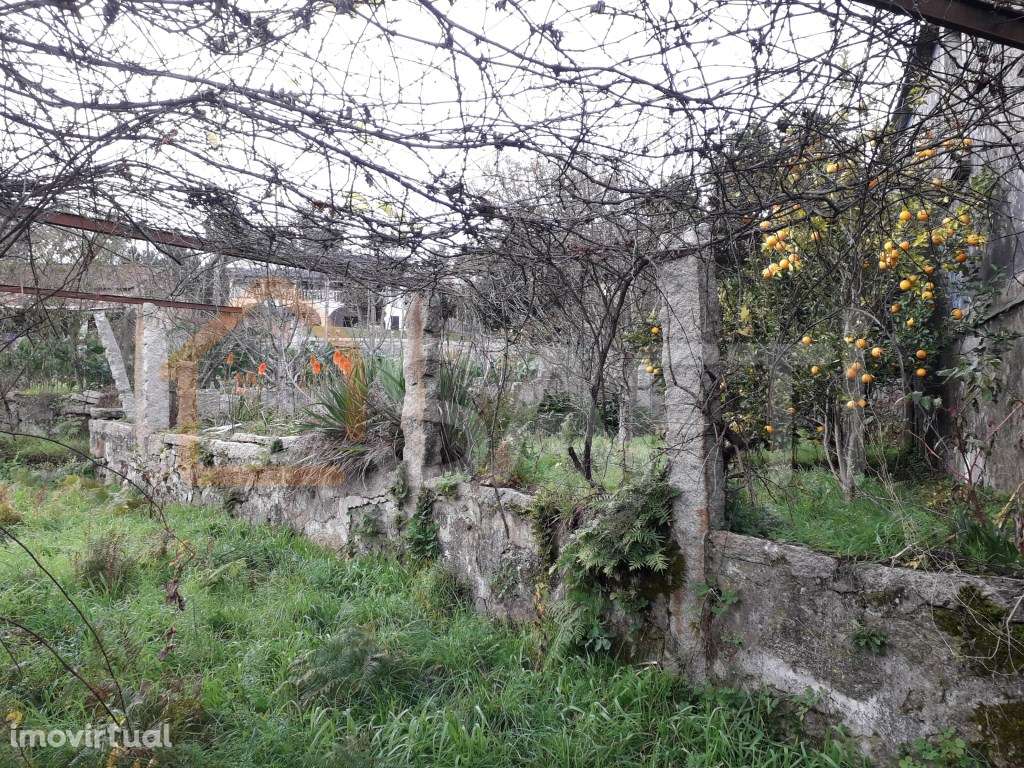 CASA ANTIGA PARA RESTAURO - Grande imagem: 4/4