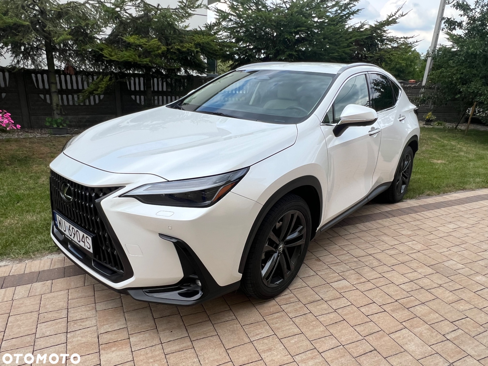 Lexus NX 350h Prestige AWD - 2