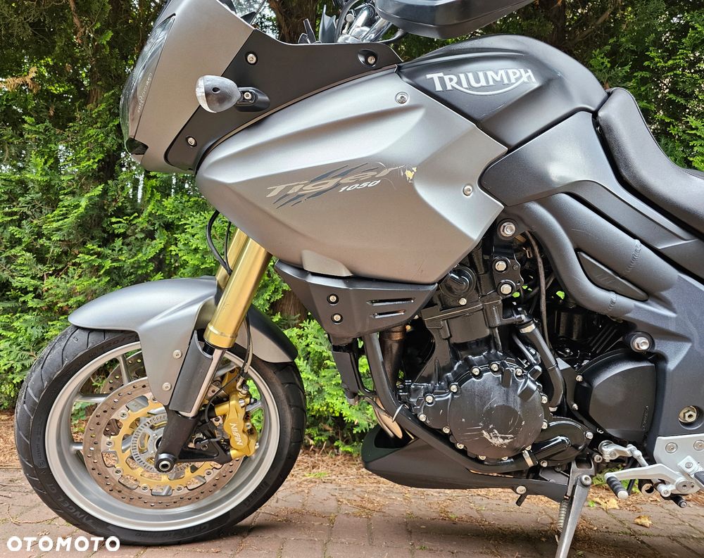Triumph Tiger - 11