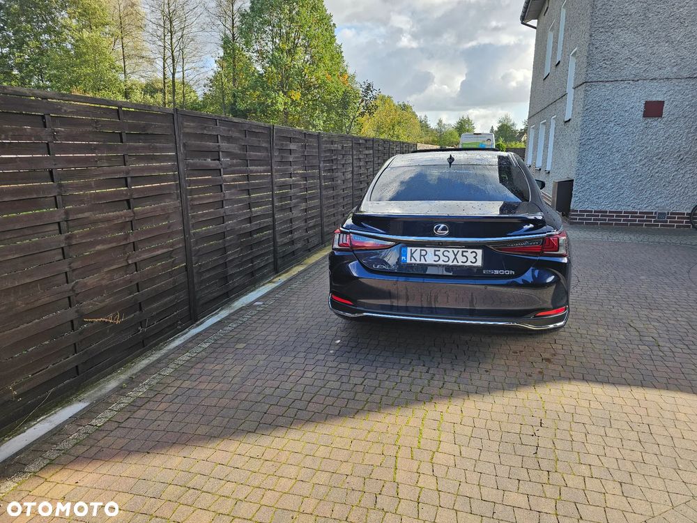 Lexus ES 300h Elegance - 8