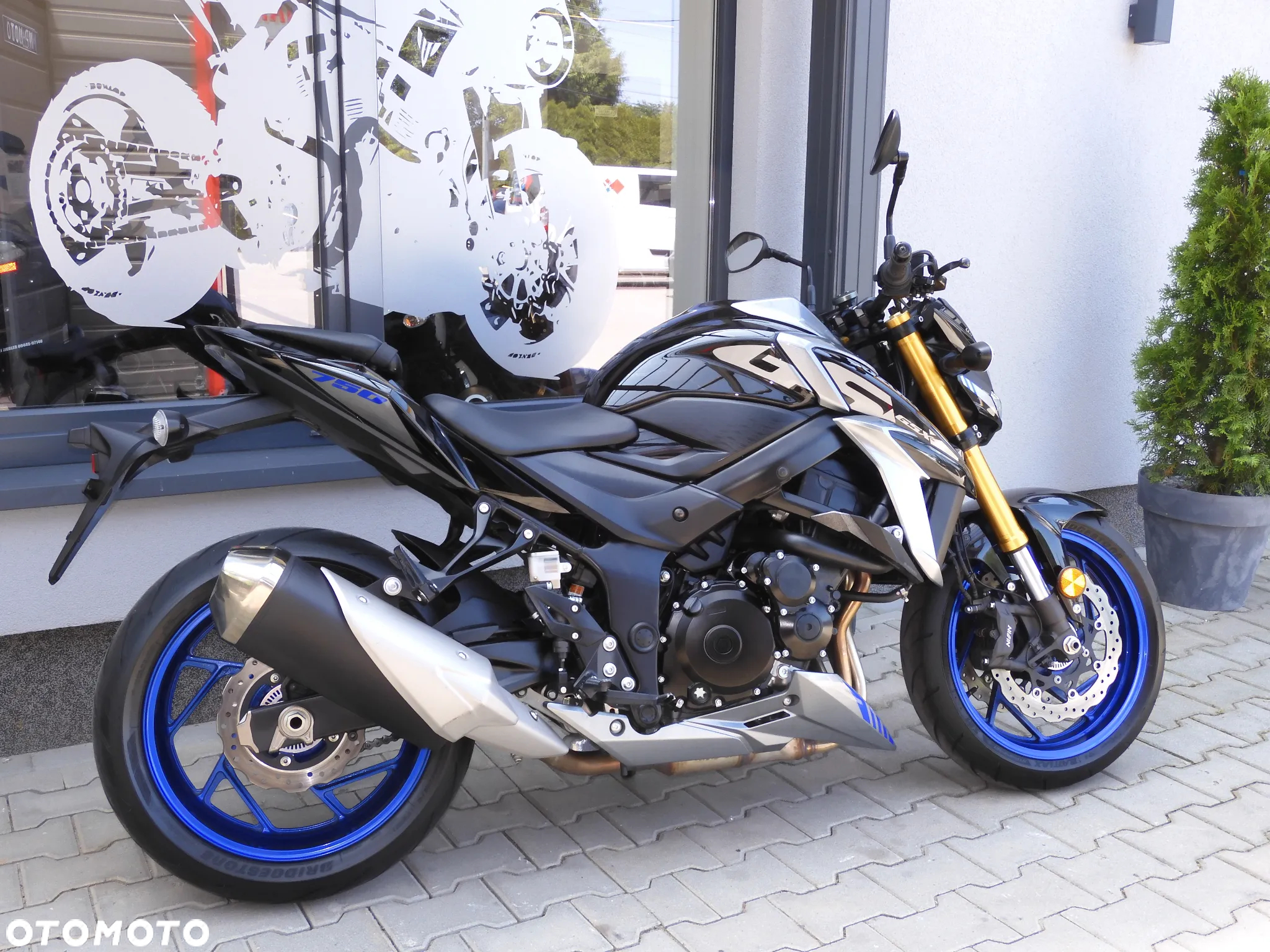 Suzuki GSX - 6