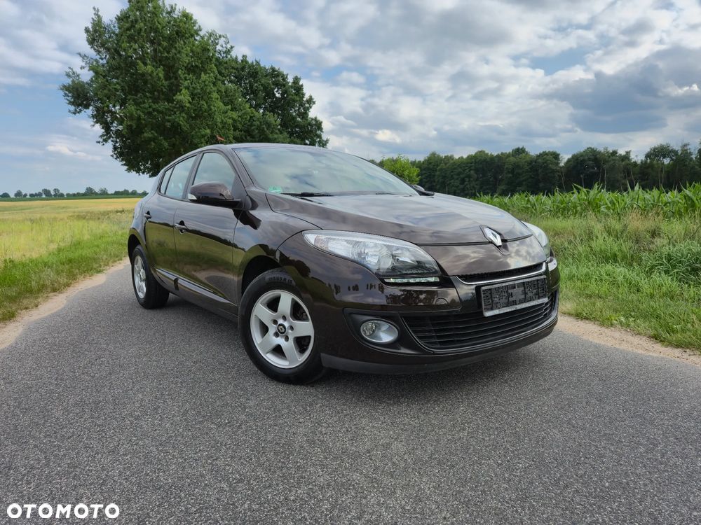 Renault Megane - 29