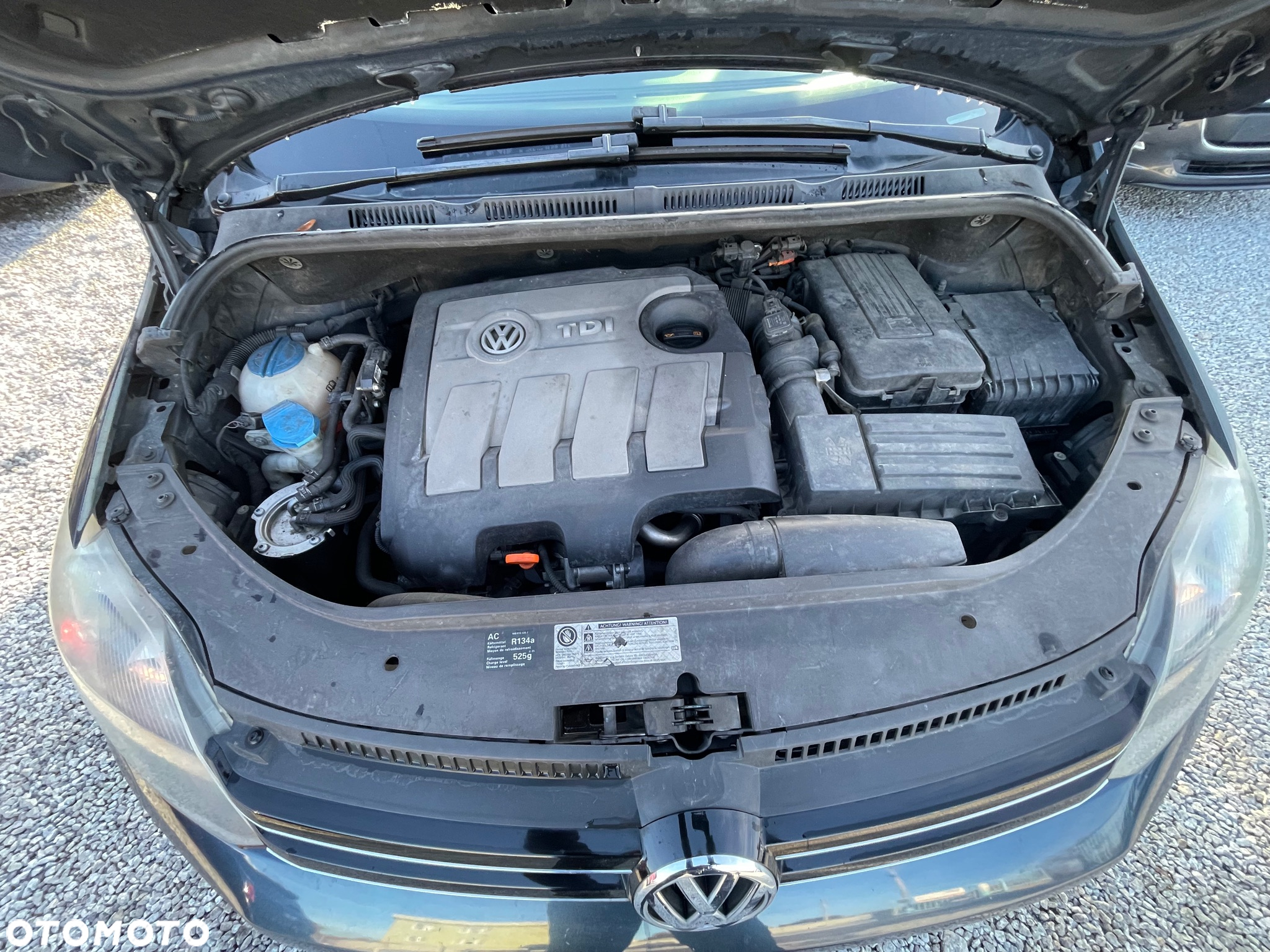 Volkswagen Golf Plus 1.6 TDI Comfortline - 19