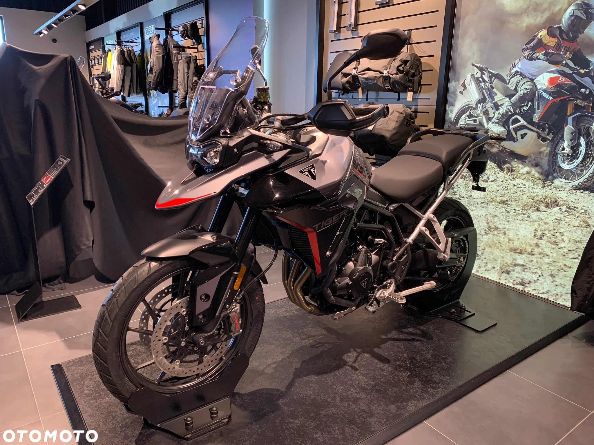 Triumph Tiger - 2