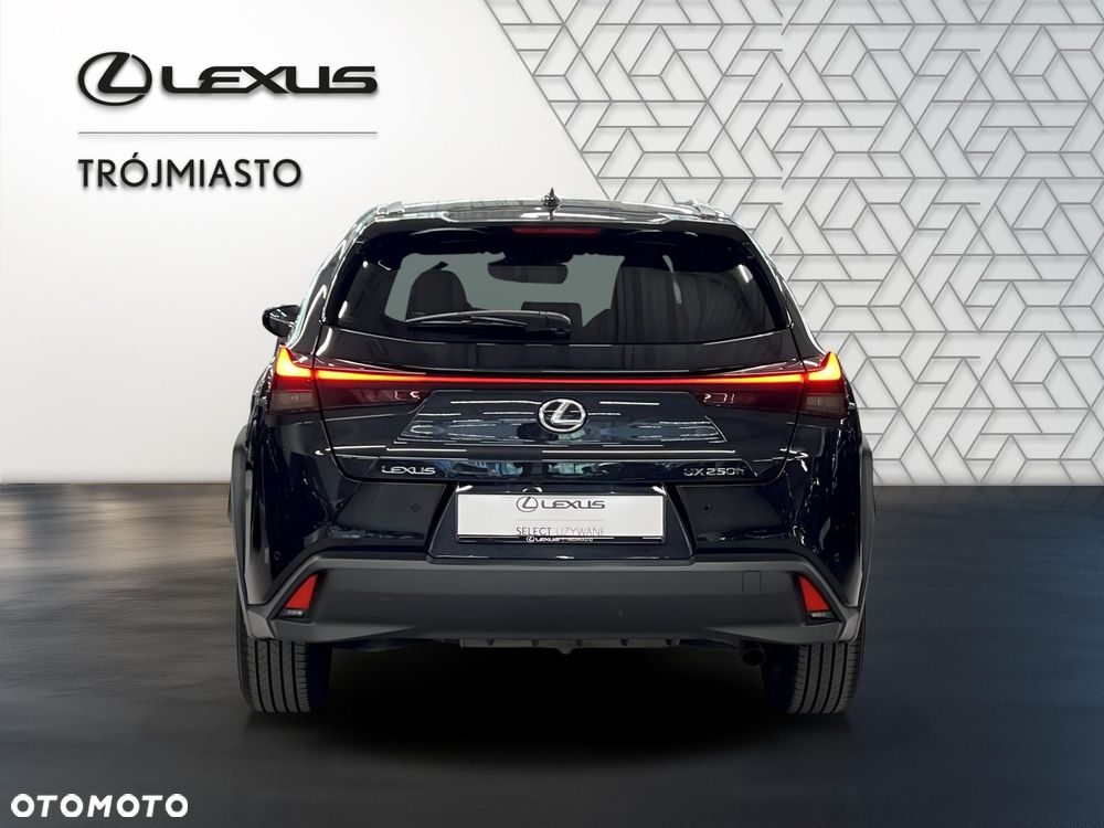 Lexus UX 250h GPF Business 2WD - 4