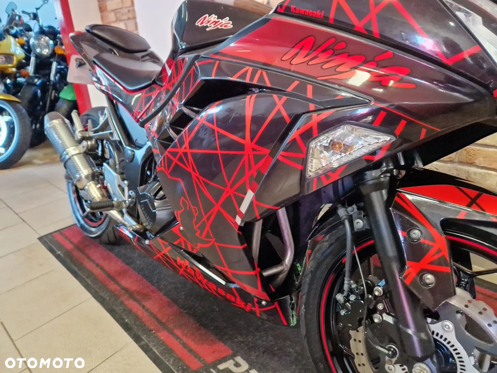 Kawasaki Ninja 300 ABS - 21