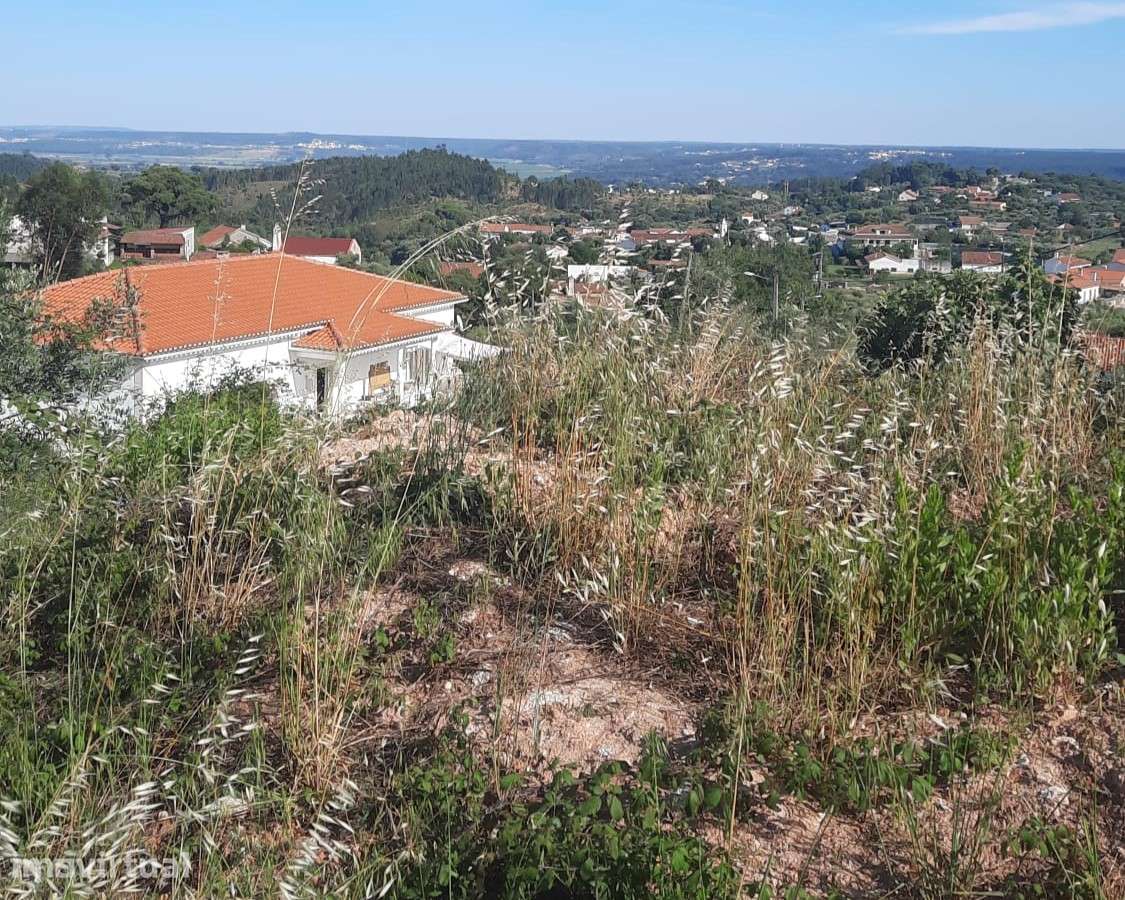 Terreno rústico c/1200 m² - Vila Nova da Barquinha - Grande imagem: 4/12