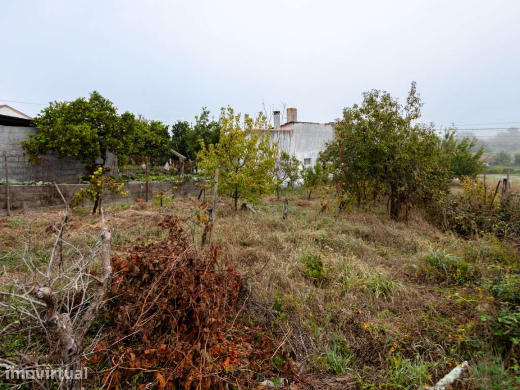 Terreno rústico em Casal do Cimeiro, Soure - Grande imagem: 2/8
