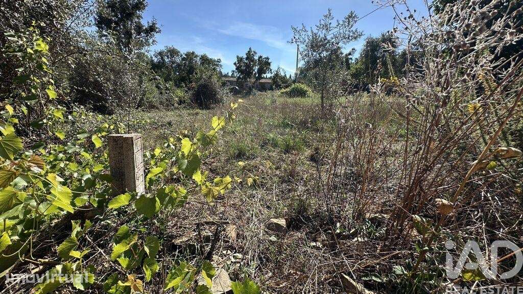 Terreno Agrícola em Graça - Grande imagem: 4/21