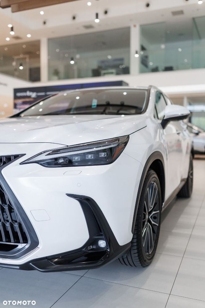 Lexus NX - 13