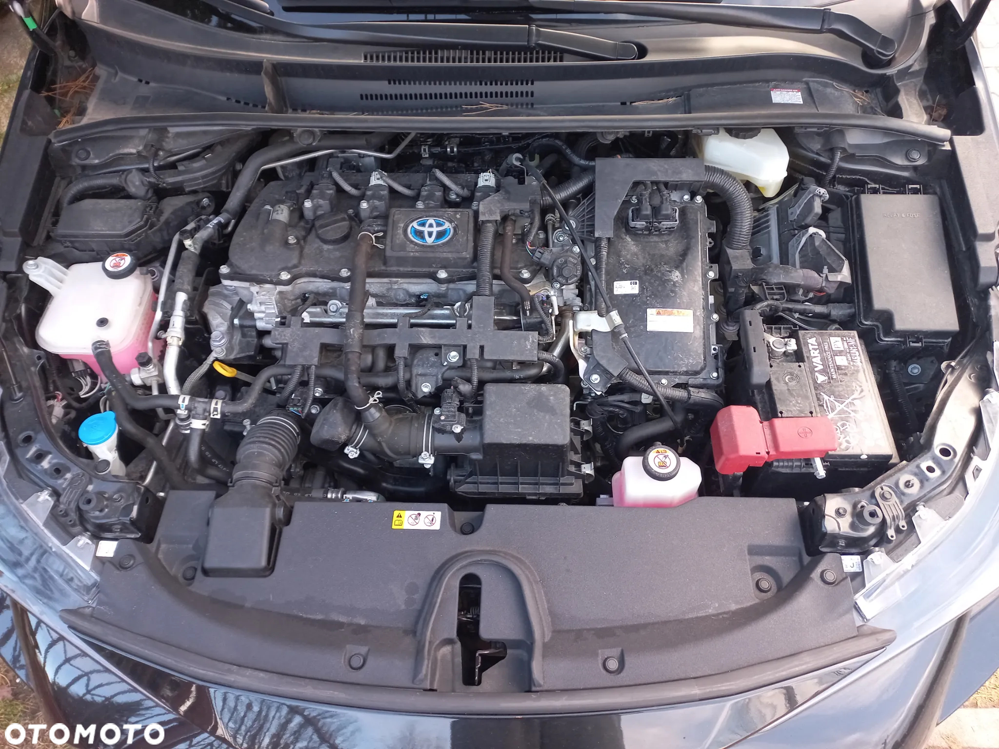 Toyota Corolla - 13
