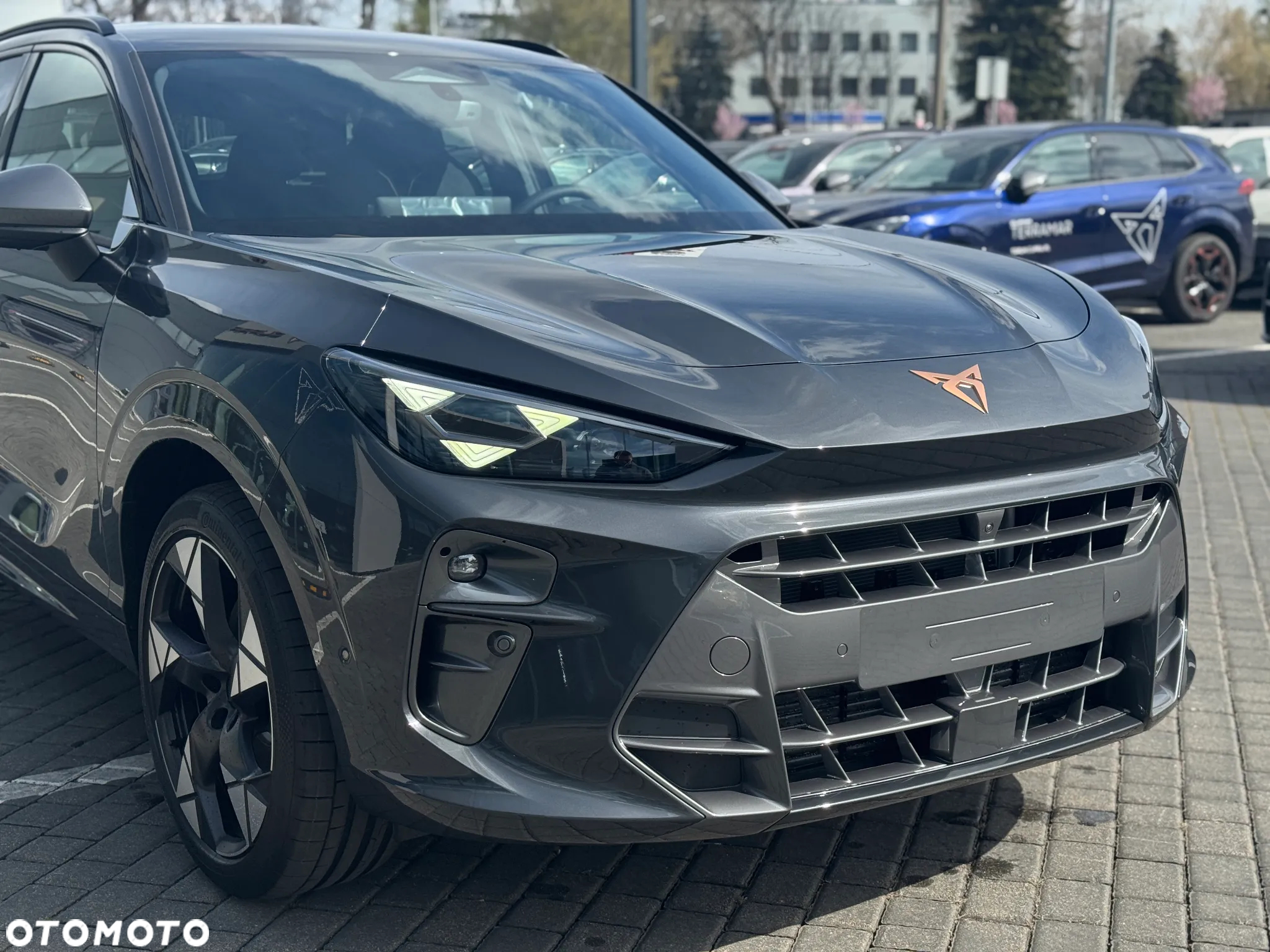 Cupra Terramar 2.0 TSI 4Drive VZ DSG - 8