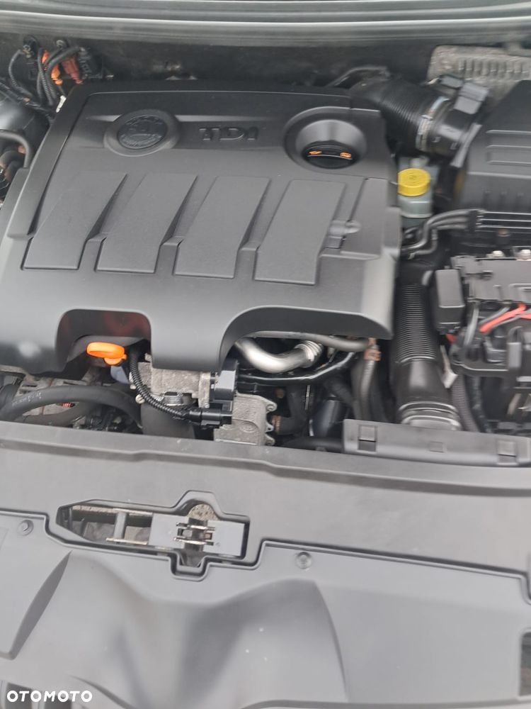 Skoda Fabia - 25