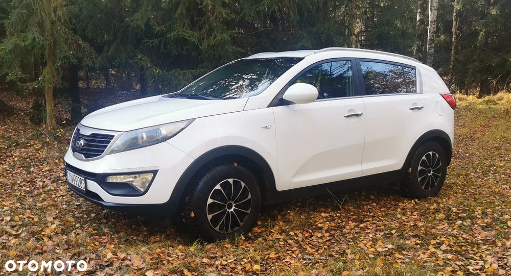 Kia Sportage - 1