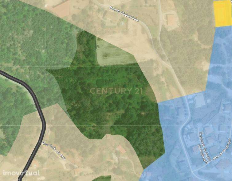 Quintinha em Cavernães, Viseu - Grande imagem: 4/5