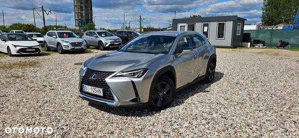Lexus UX 250h Elegance AWD