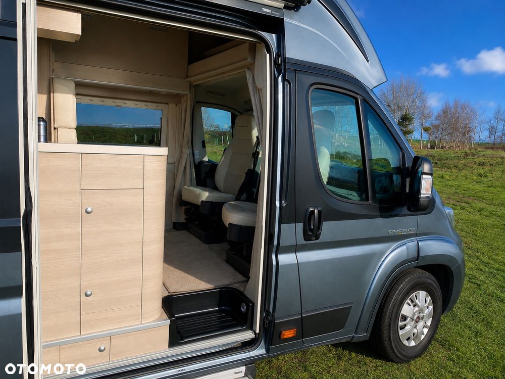 Globe-Traveller Boxer - 12