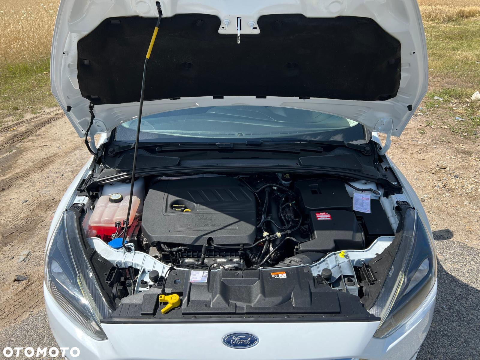 Ford Focus - 8