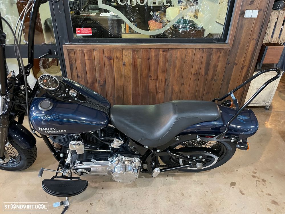 Harley-Davidson FLSTS Crossbones - 14