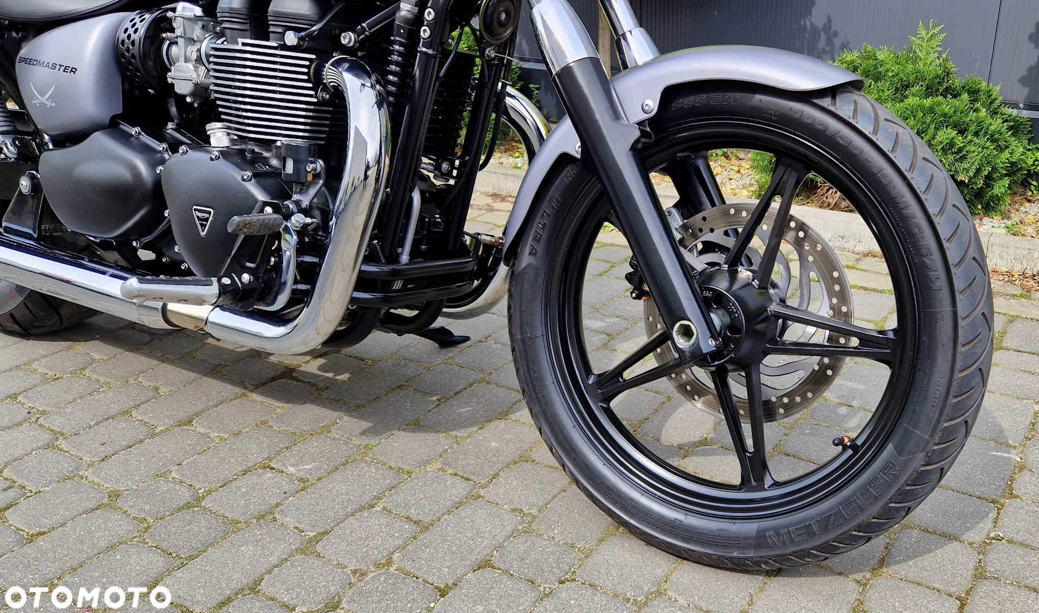 Triumph Speedmaster - 11