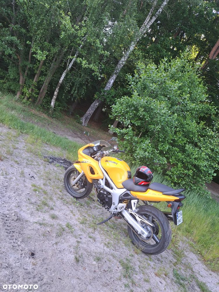 Suzuki SV - 4