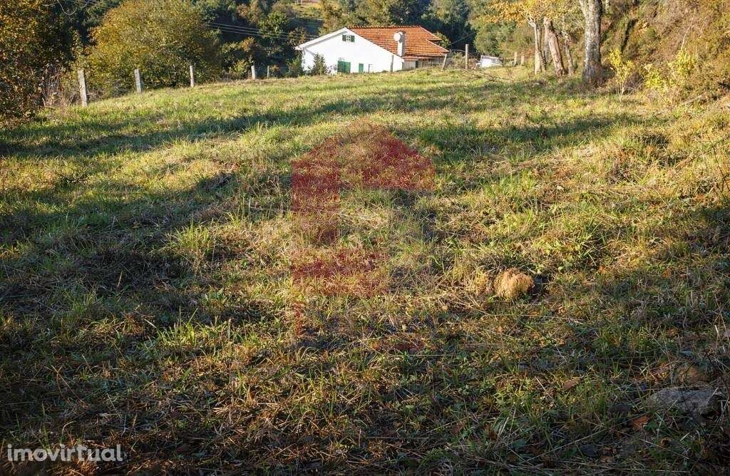 Terreno para construção, Pedregais - Grande imagem: 5/8