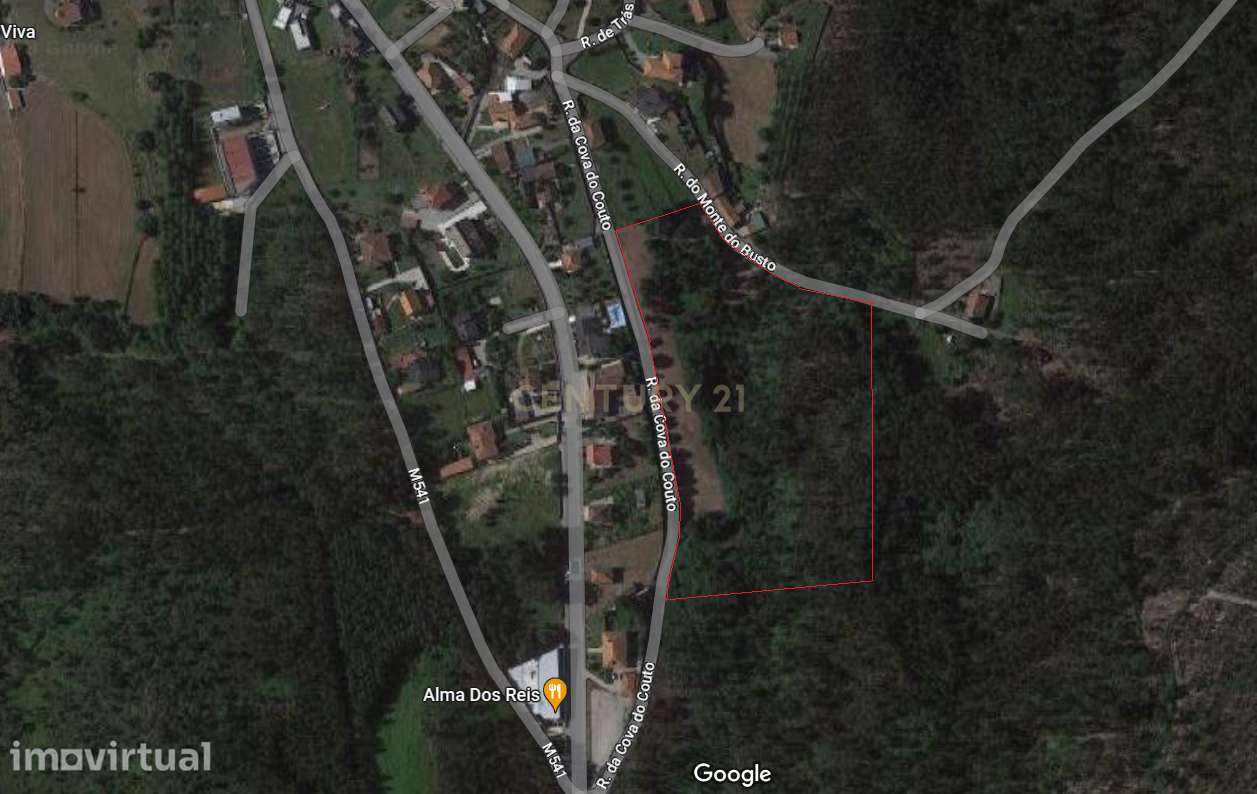 Terreno com 23.000 m2 em Igreja Nova - Barcelos - Grande imagem: 3/17