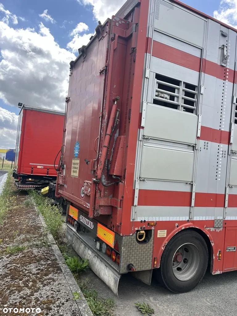 DAF XF 460 + Przyczepa Pezzaoli - 3X Trzoda, 2 X Bydło I 3 poziomy  I Podnoszony dach I Hydroburta I Osie Skrętne I Poidła I Wentylatory I Pilot Manualny | Euro5 - 6