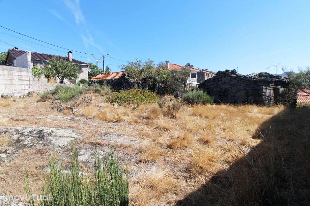 Moradia p/ reconstrução – Oliveira de Frades - Grande imagem: 4/26