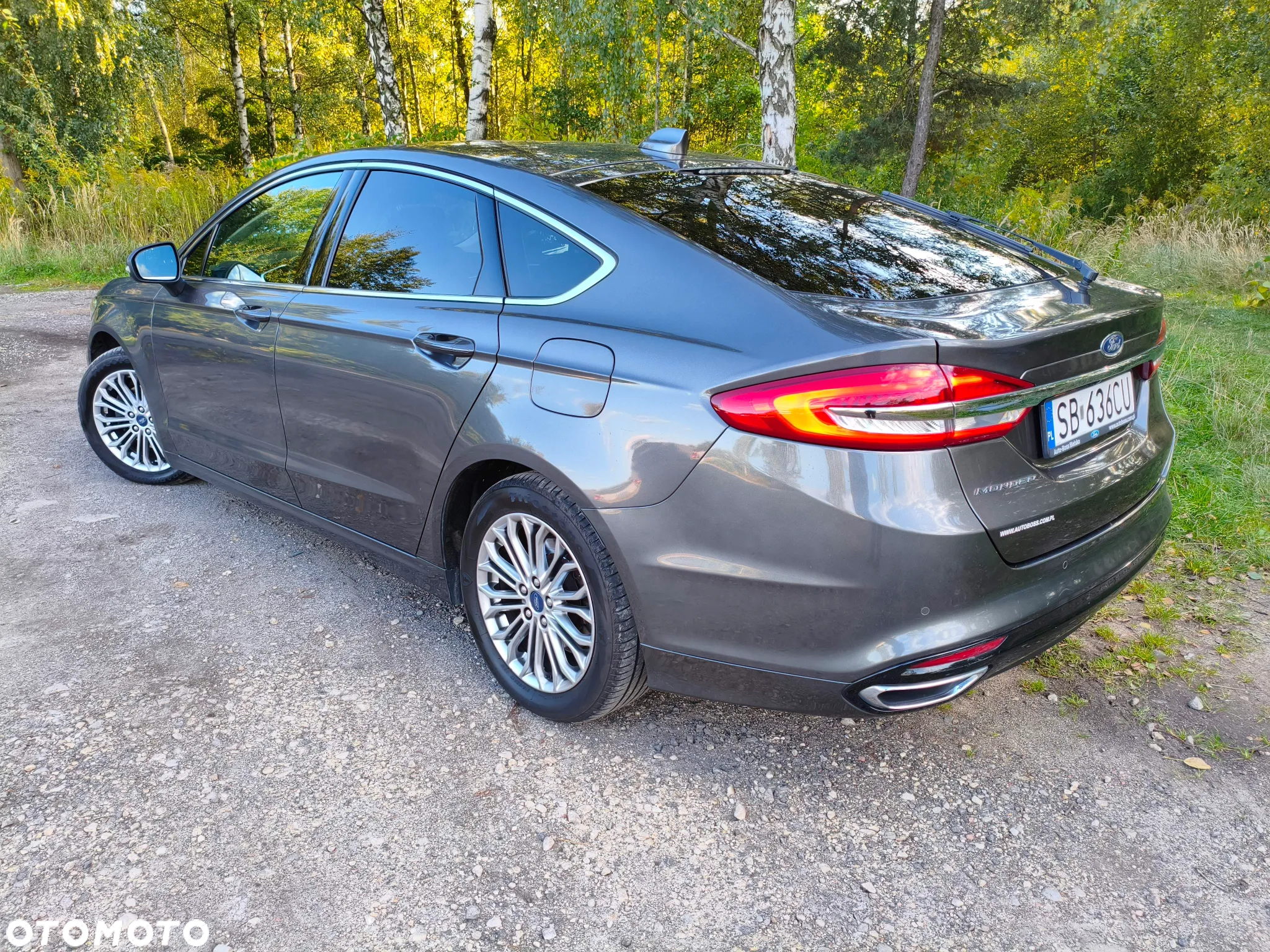 Ford Mondeo 2.0 EcoBlue Titanium - 2