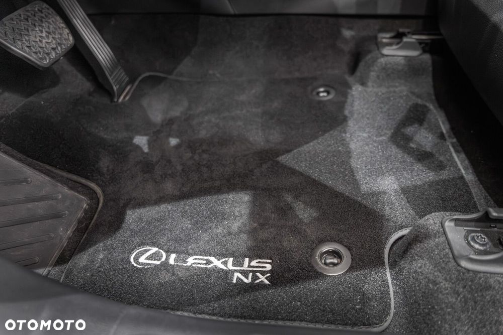 Lexus NX - 25