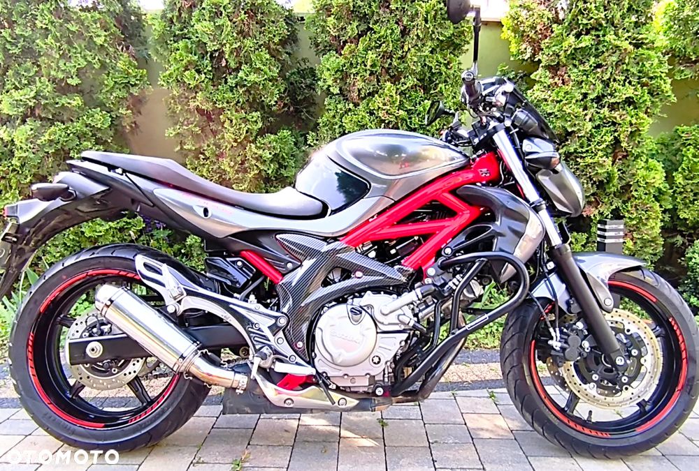 Suzuki Gladius - 18