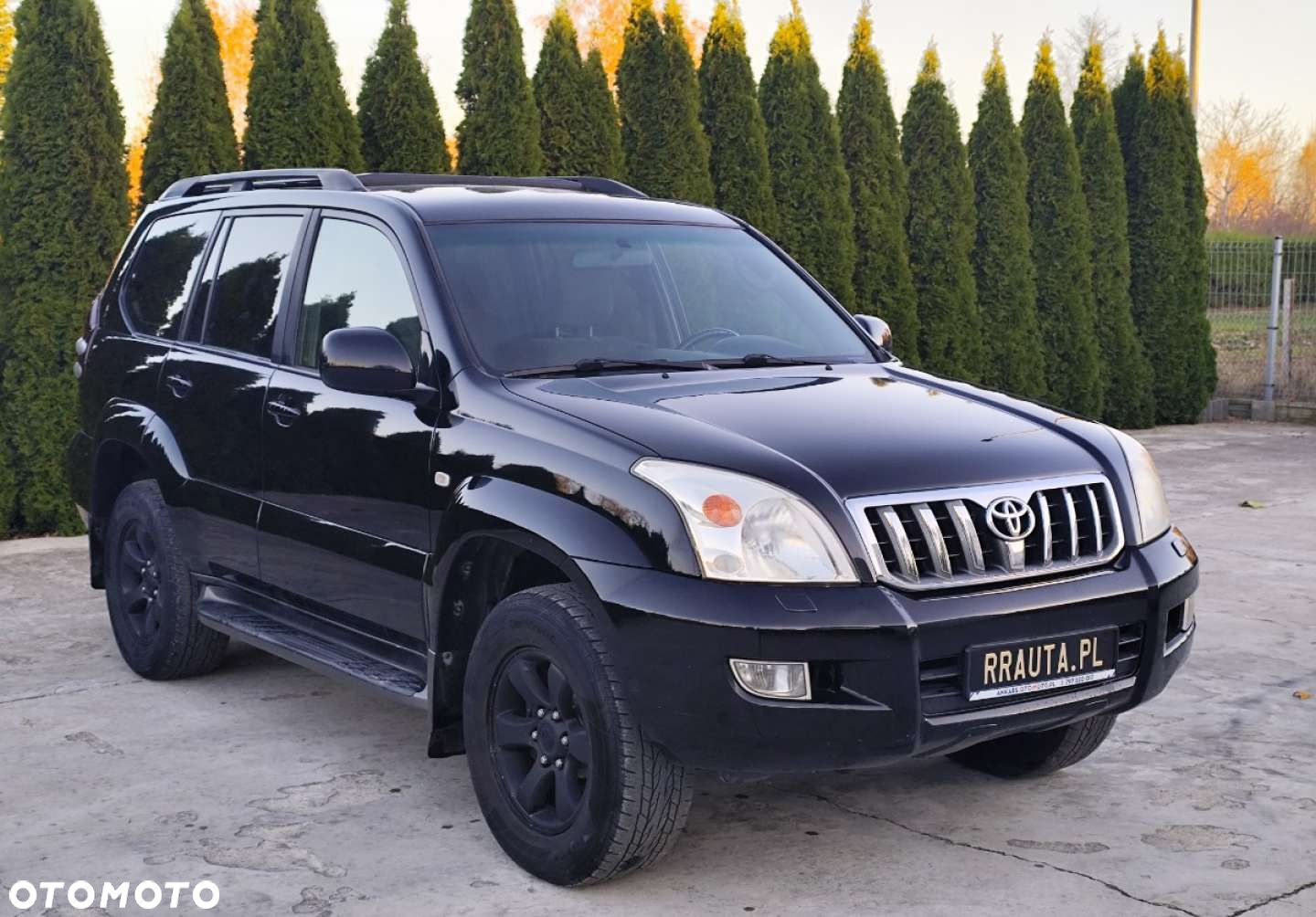 Toyota Land Cruiser - 29