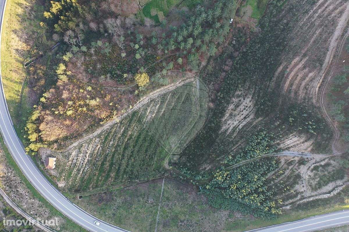 Quinta  para venda - Grande imagem: 5/14