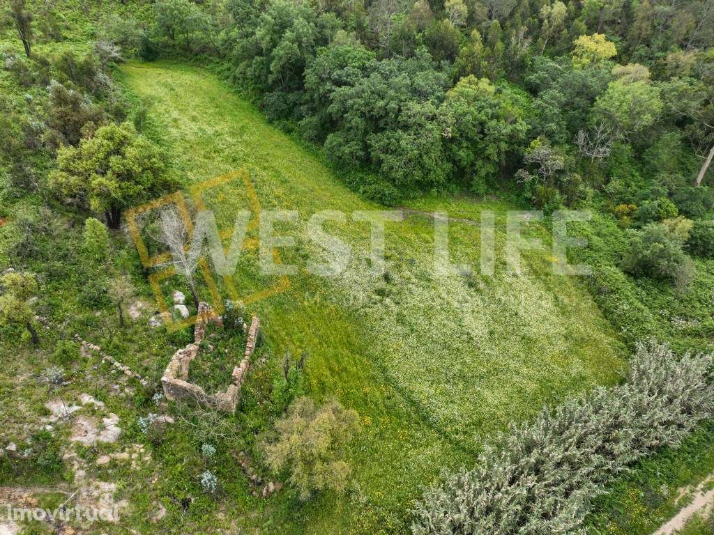 Terreno Rústico - Natural e Agroflorestal - Com 17062m2 - Com dois ... - Grande imagem: 2/19