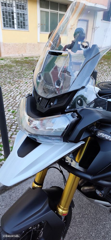 Triumph Tiger Rally Pro - 7