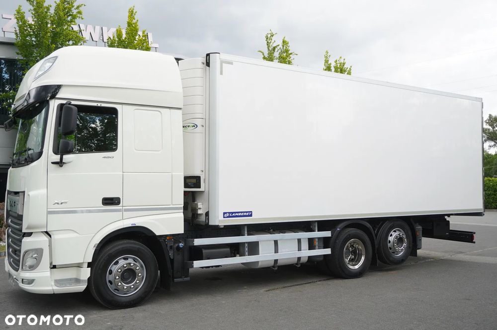 DAF XF 480 Euro 6 / 2021 / Chłodnia Lamberet / Carrier Vector 1550 - 2