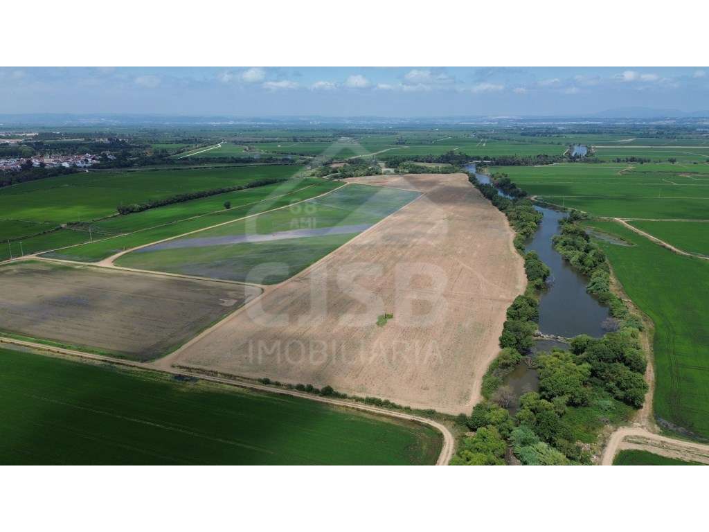 Terreno de 9,5 ha em Benavente - Grande imagem: 5/6