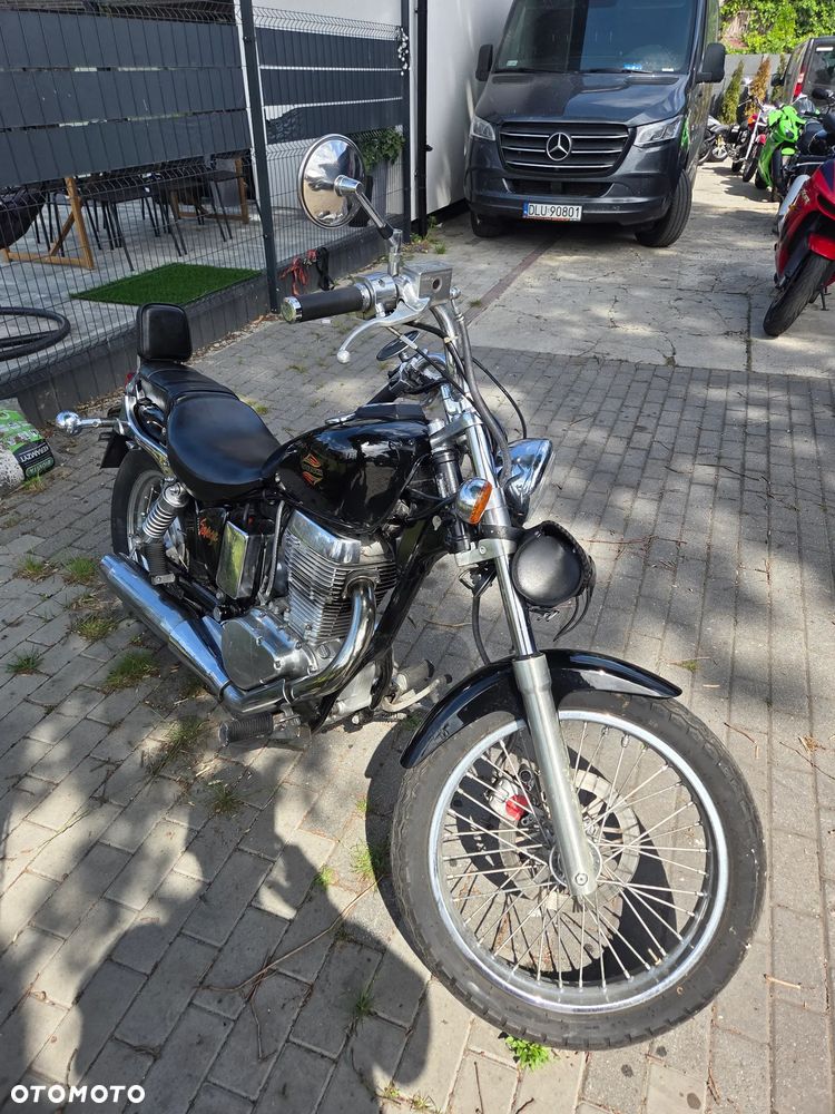 Suzuki Savage - 6