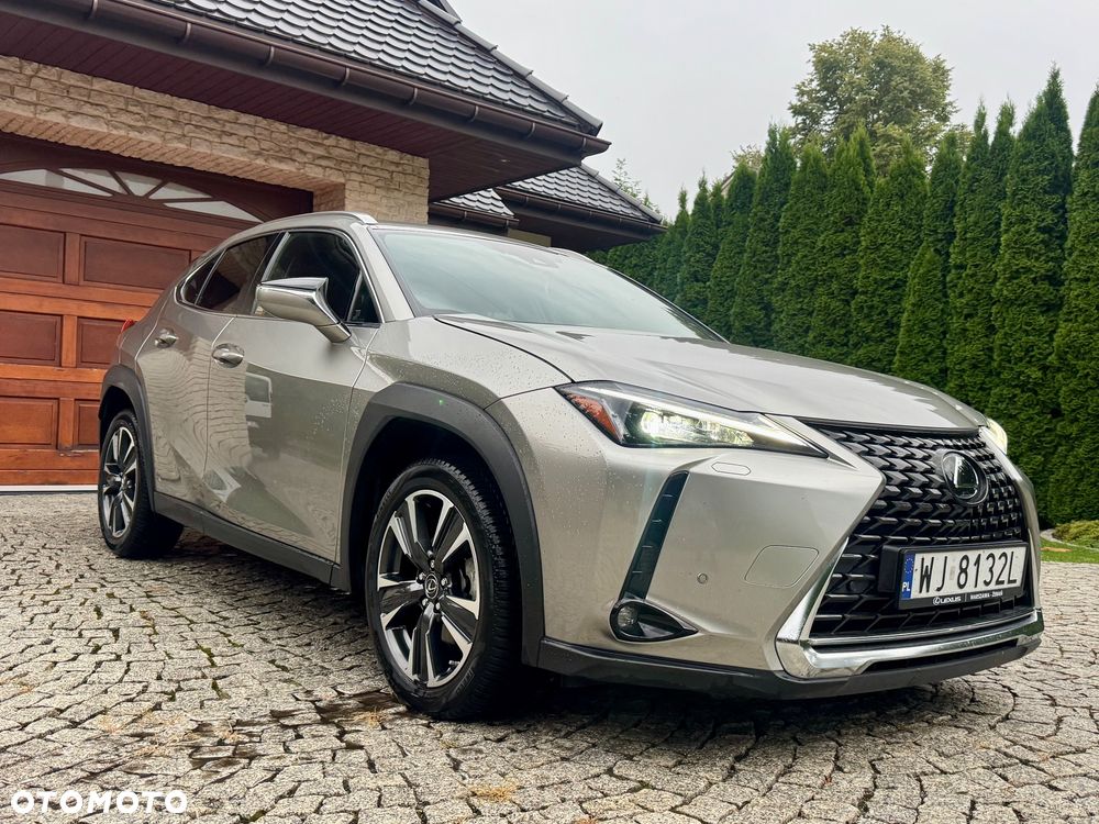 Lexus UX 250h F Sport 2WD - 34