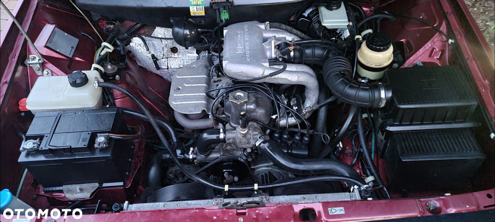 Polonez Caro - 4