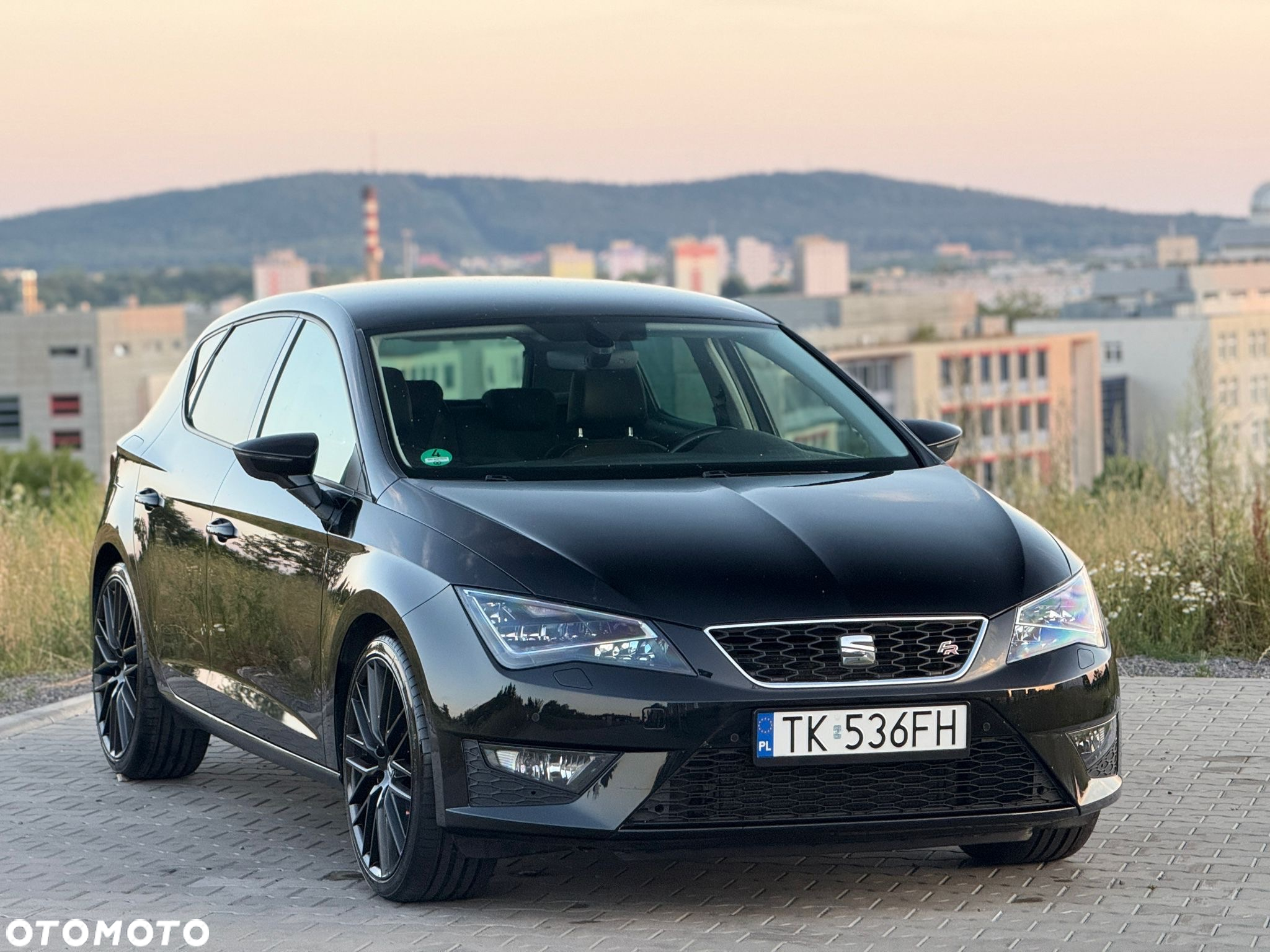 Seat Leon 2.0 TDI DPF DSG FR - 25