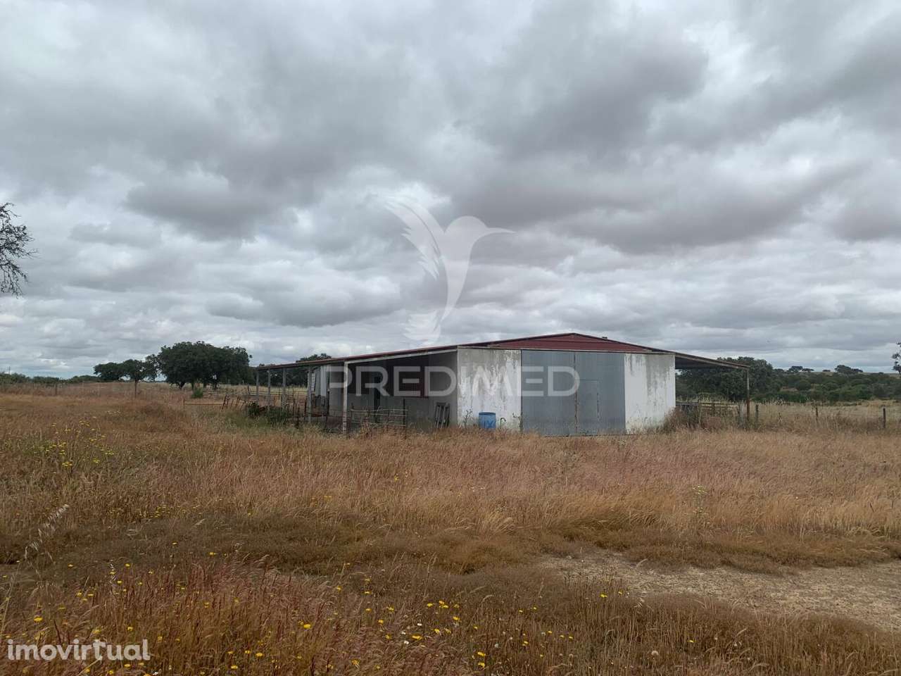 HERDADE ALENTEJANA 53 HECT (Vedada) - Grande imagem: 2/33