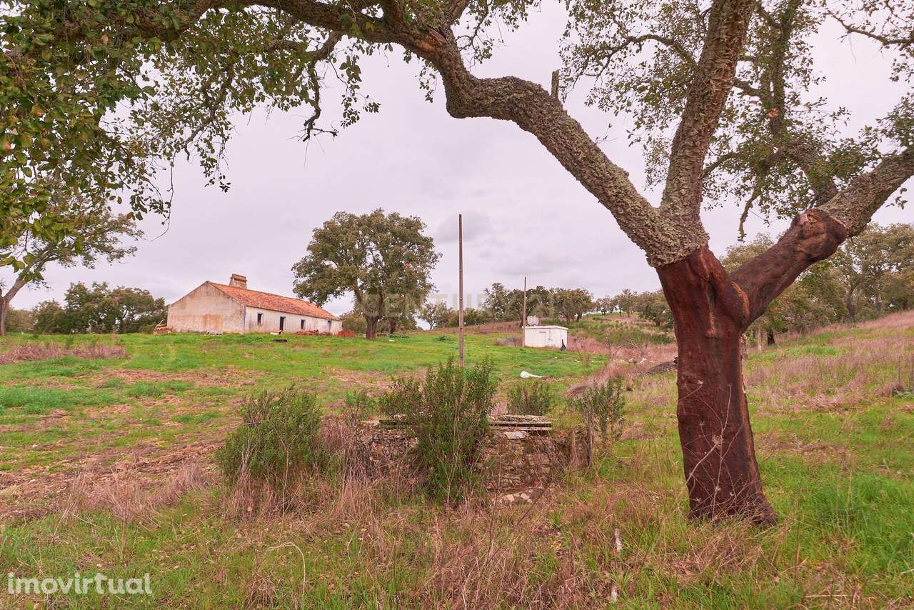 Moradia, 128 m², São Domingos e Vale de Água - Grande imagem: 4/58