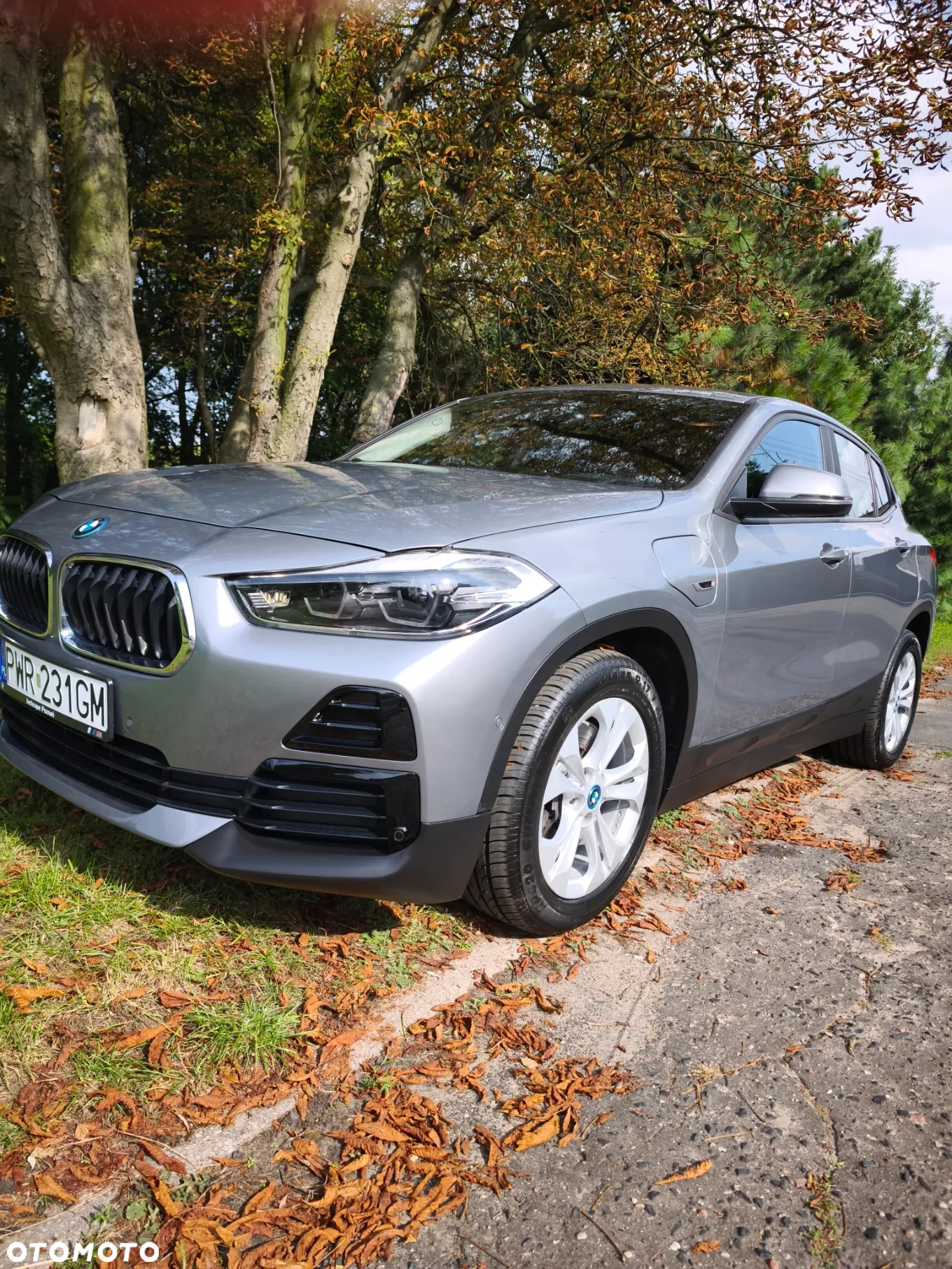 BMW X2 xDrive25e Advantage - 19