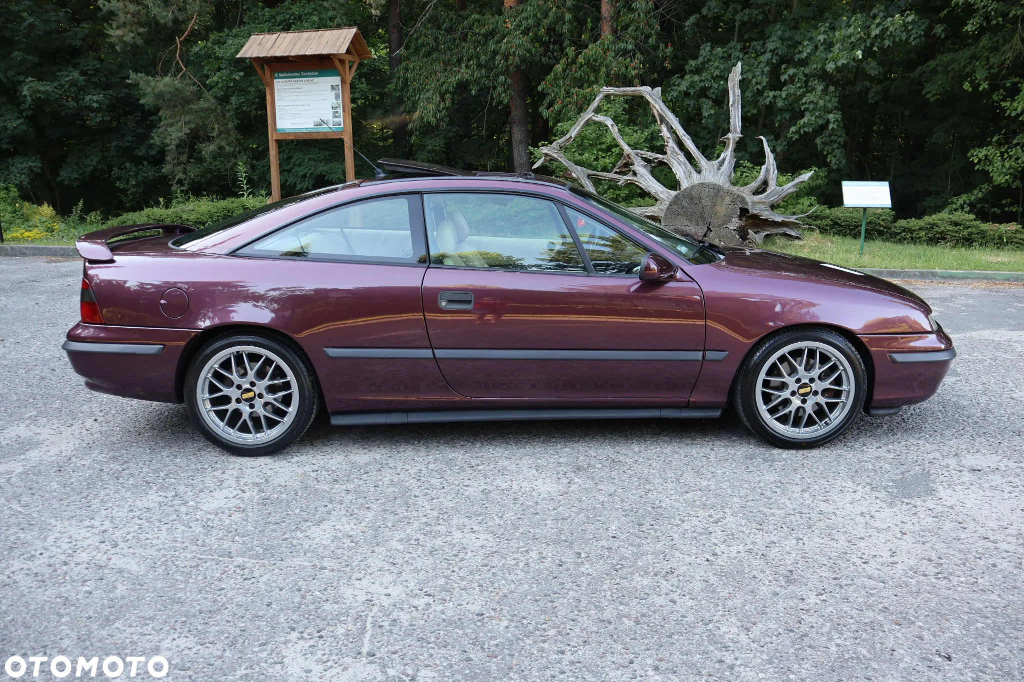 Opel Calibra 2.5 - 8